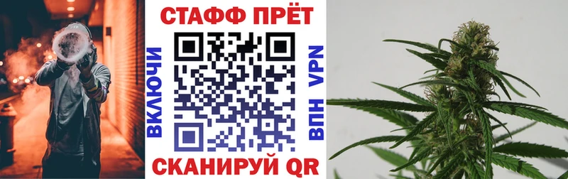 Где можно купить наркотики Микунь A-PVP Марихуана Амфетамин COCAIN