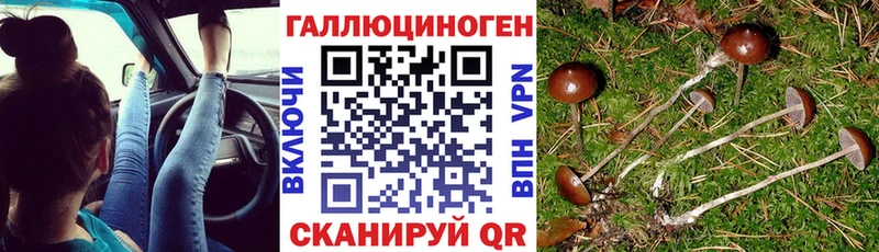 Псилоцибиновые грибы ЛСД  наркотики  Микунь 
