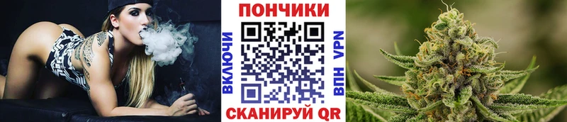 Бошки Шишки план  Микунь 
